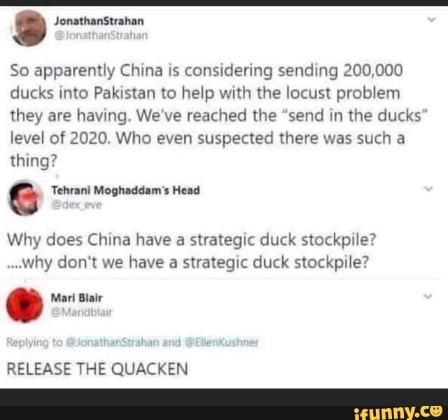 9
So apparently China is considering sending 200,000
ducks into Pakistan to help with the locust problem
they are having. We've reached the "send in the ducks"
level of 2020. Who even suspected there was such a
thing?
6 Tehrani Moghaddam's Head
Why does China have a strategic duck stockpile?
"Why don't we have a strategic duck stockpile?
e Mari Blair
Maric
RELEASE THE QUACKEN