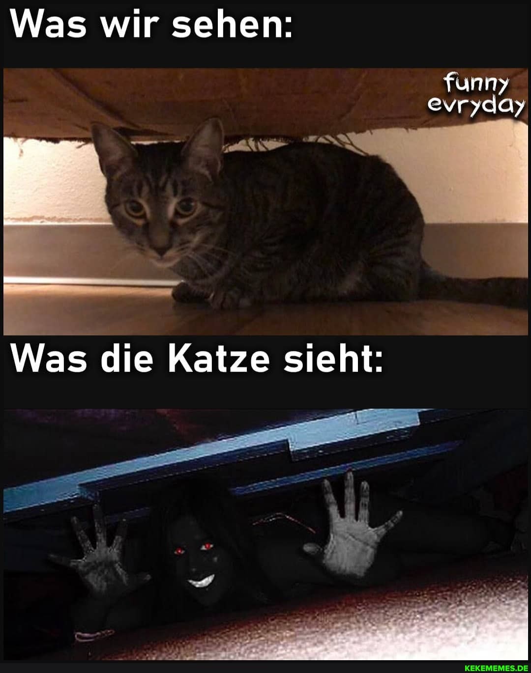 Was wir sehen:
evryday
Was die Katze sieht: