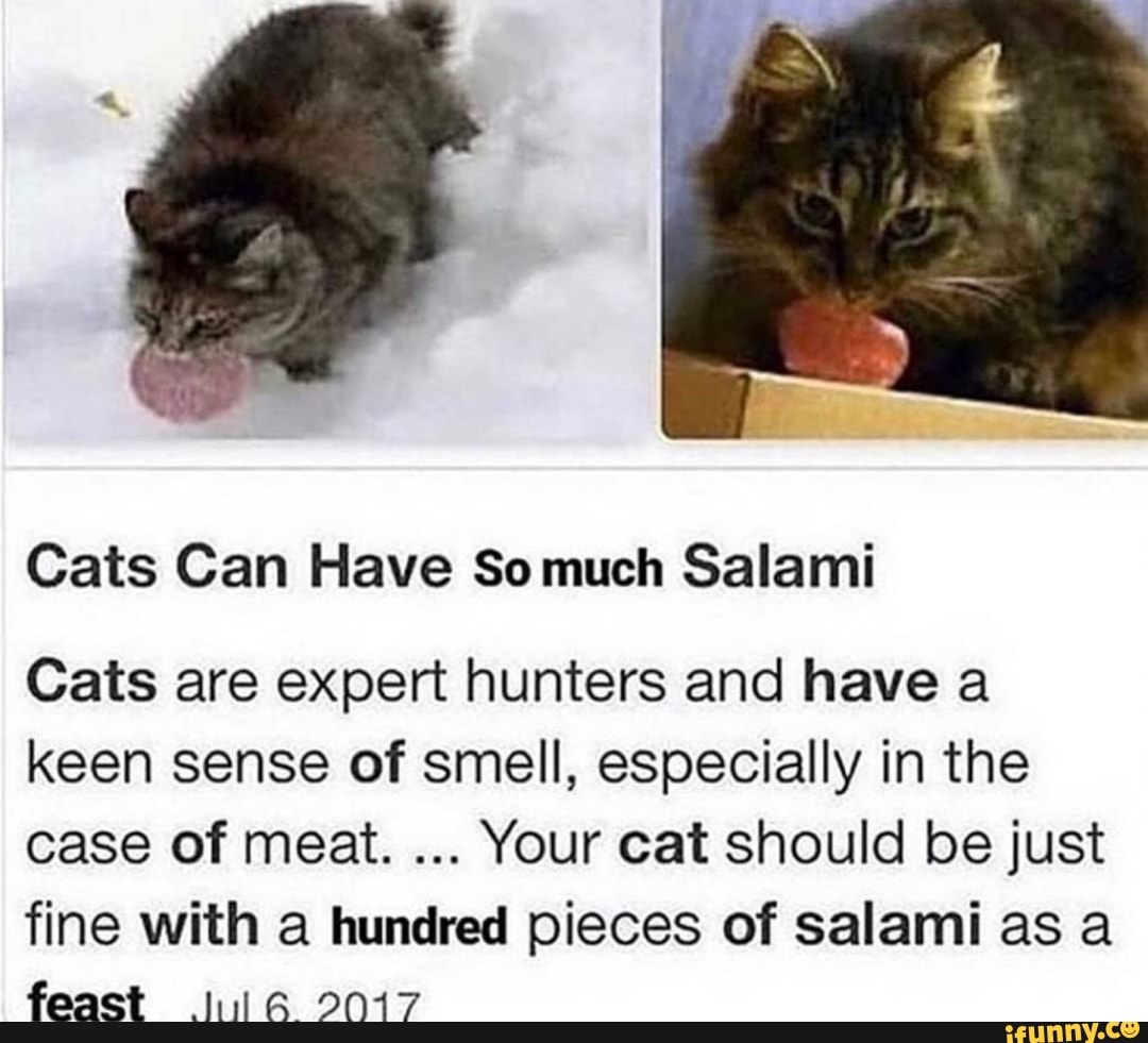 Cats Can Have Somuch Salami
Cats are expert hunters and have a keen sense of smell, especially in the case of meat. Your cat should be just fine with a hundred pieces of salami as a feast 2017