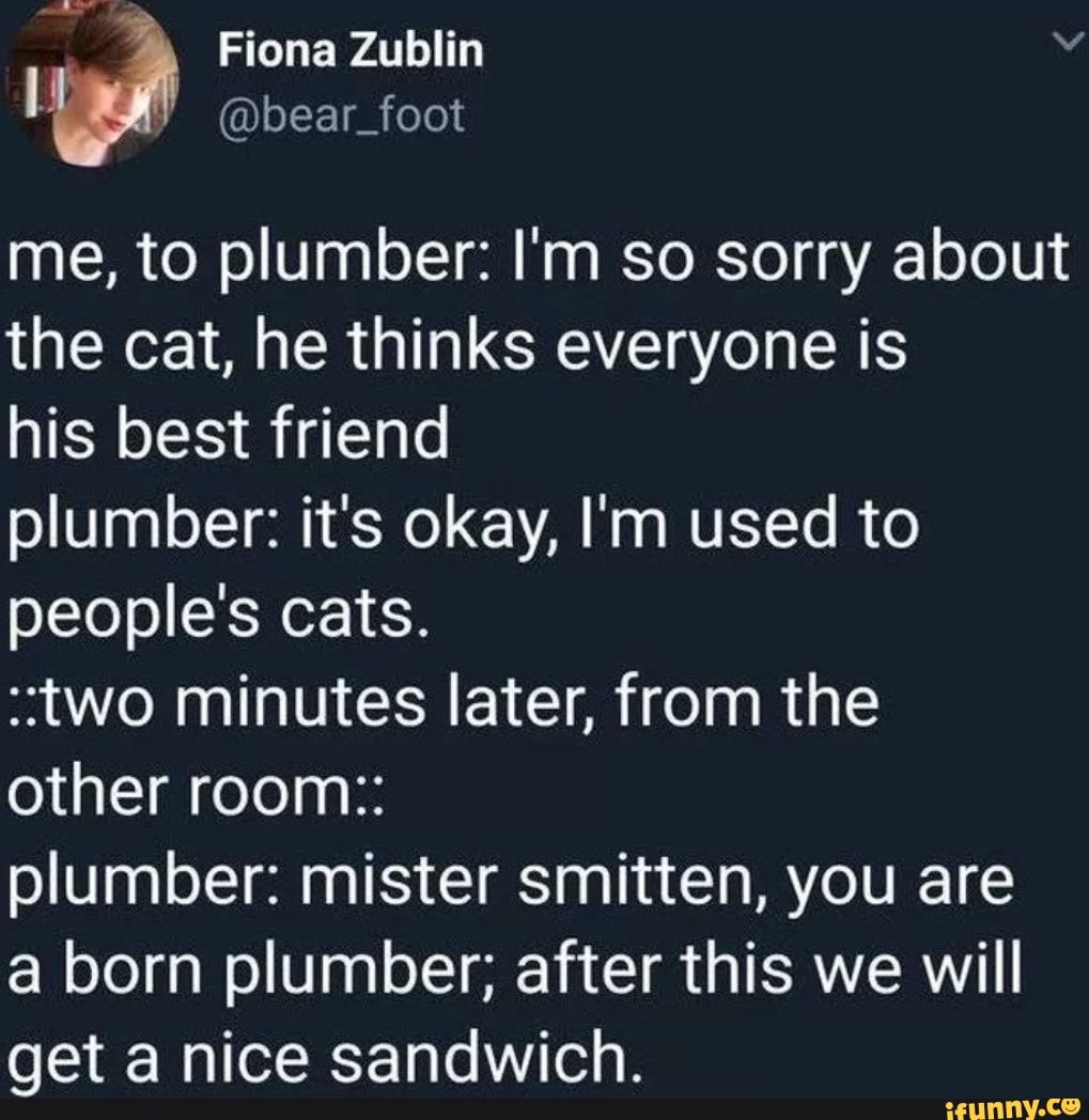 me, to plumber: I'm so sorry about
the cat, he thinks everyone is
his best friend
plumber: it's okay, I'm used to
people's cats.
"two minutes later, from the
other room::
plumber: mister smitten, you are
a born plumber; after this we will
get a nice sandwich.