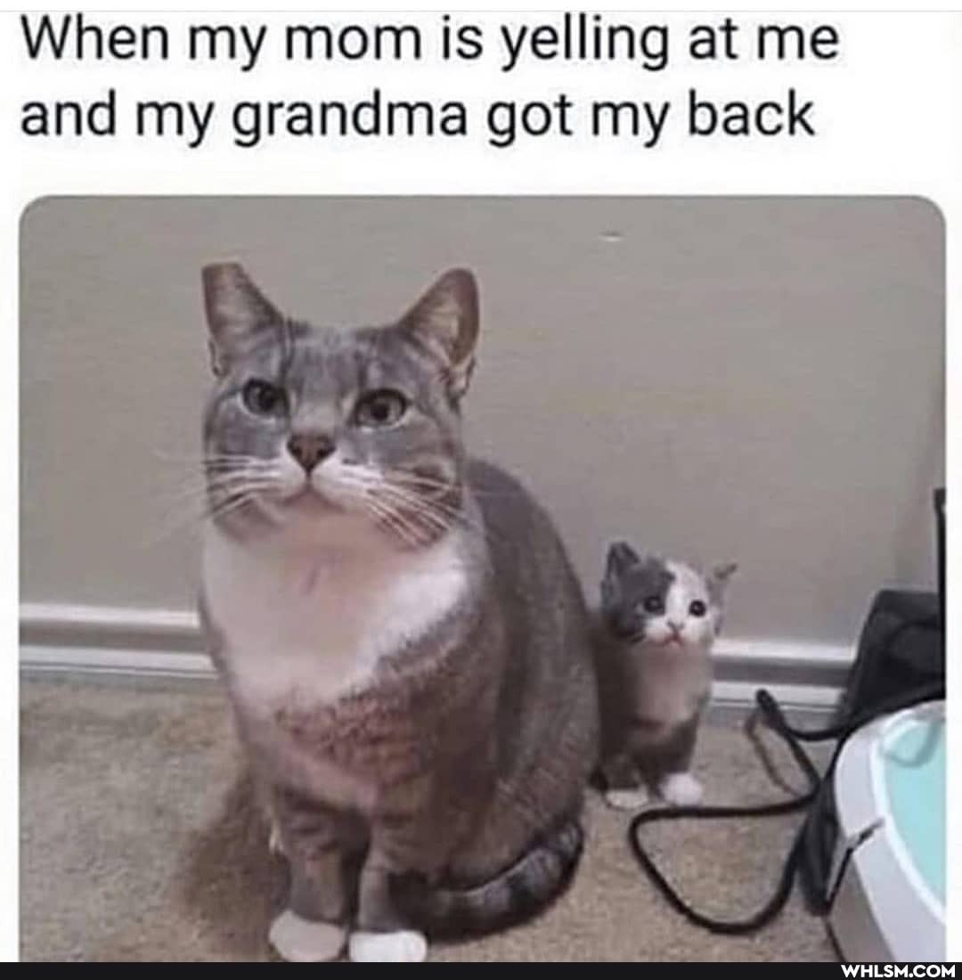 When my mom is yelling at me
and my grandma got my back