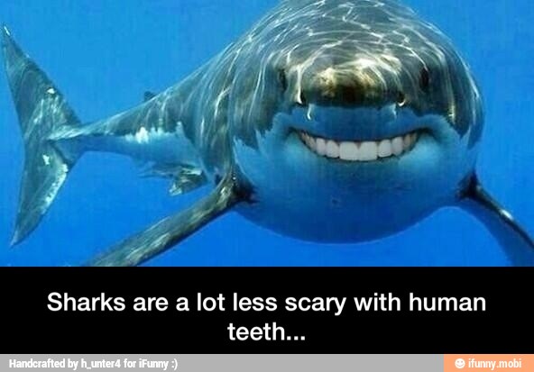 Sharks are a lot less scary with human - Sharks are a lot less scary with human teeth...