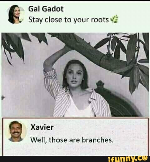 Gal Gadot
Stay close to your roots
Xavier
Well, those are branches.