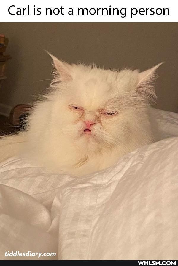 Carl is not a morning person