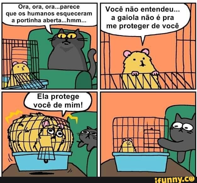 Ora, ora, ora... parece que os humanos esqueceram a portinha aberta...hmm...
Ela protege você de mim! ,
Você não entendeu...
a gaiola não é pra me proteger de você