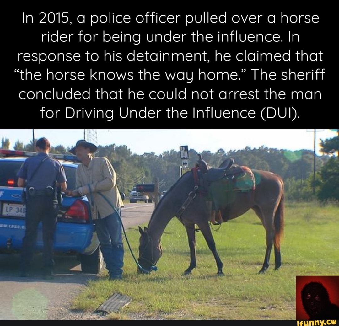 In 2015, a police officer pulled over a horse rider for being under the influence. In response to his detainment, he claimed that
"the horse knows the way home." The sheriff concluded that he could not arrest the man for Driving Under the Influence (DUI).