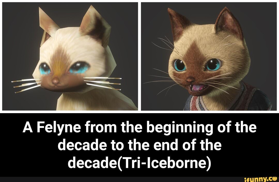 A Felyne from the beginning of the
decade to the end of the
decade(Tri-lceborne) - A Felyne from the beginning of the decade to the end of the decade(Tri-Iceborne)