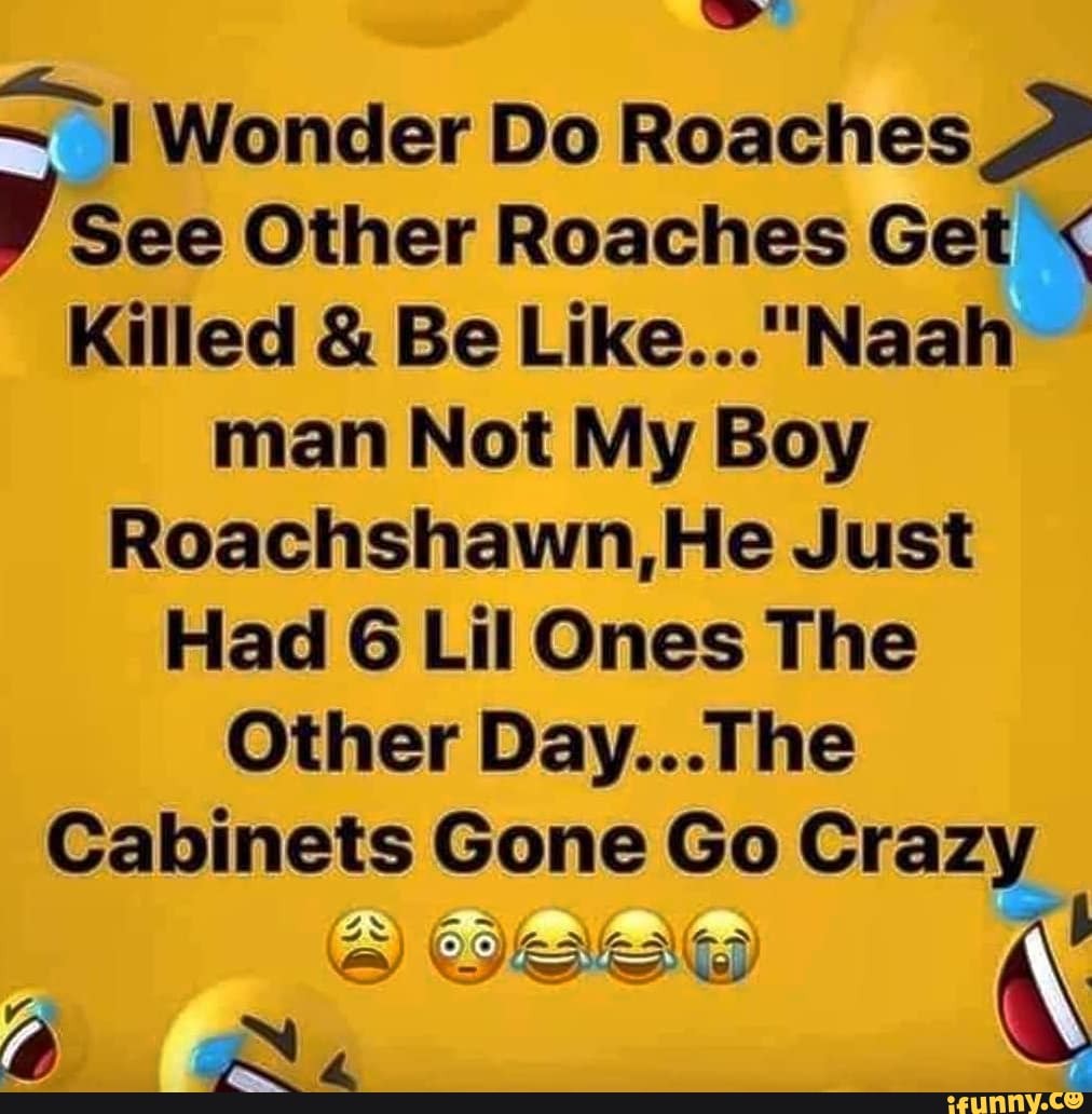 Wonder Do Roaches
See Other Roaches Get <
Killed & Be
man Not My Boy
Roachshawn,He Just
Had 6 Lil Ones The
Other Day...The
Cabinets Gone Go Crazy
- Z