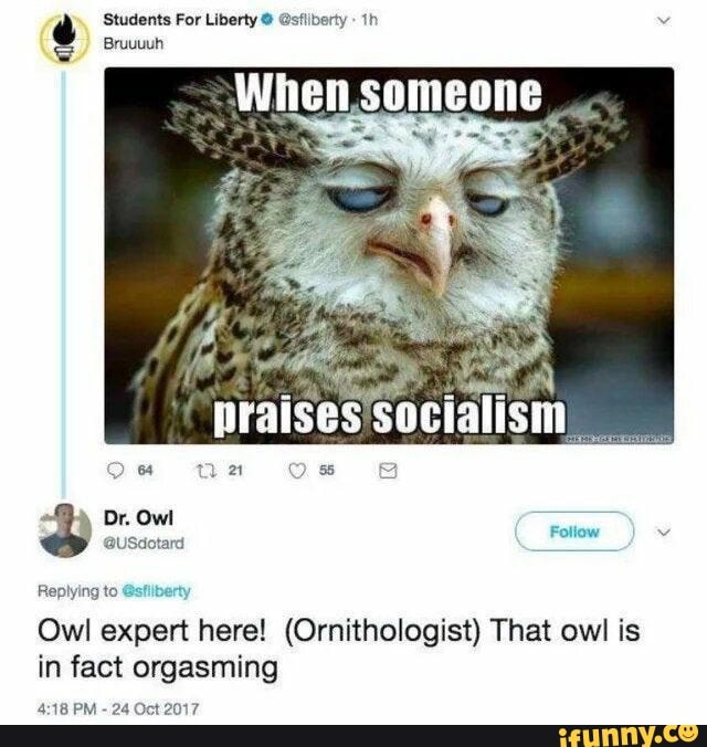 Students For Liberty @sfliberty ih
When someone
Bruuuuh
Ba
Replying to
Owl expert here! (Ornithologist) That owl is in fact orgasming
PM - 24 Oct 2017