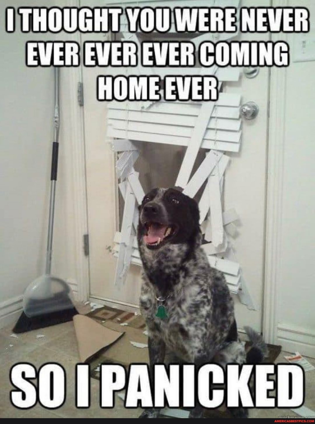 THOUGHT YOU WERE NEVER EVER EVER EVER COMING HOME EVER
90 PANICKED