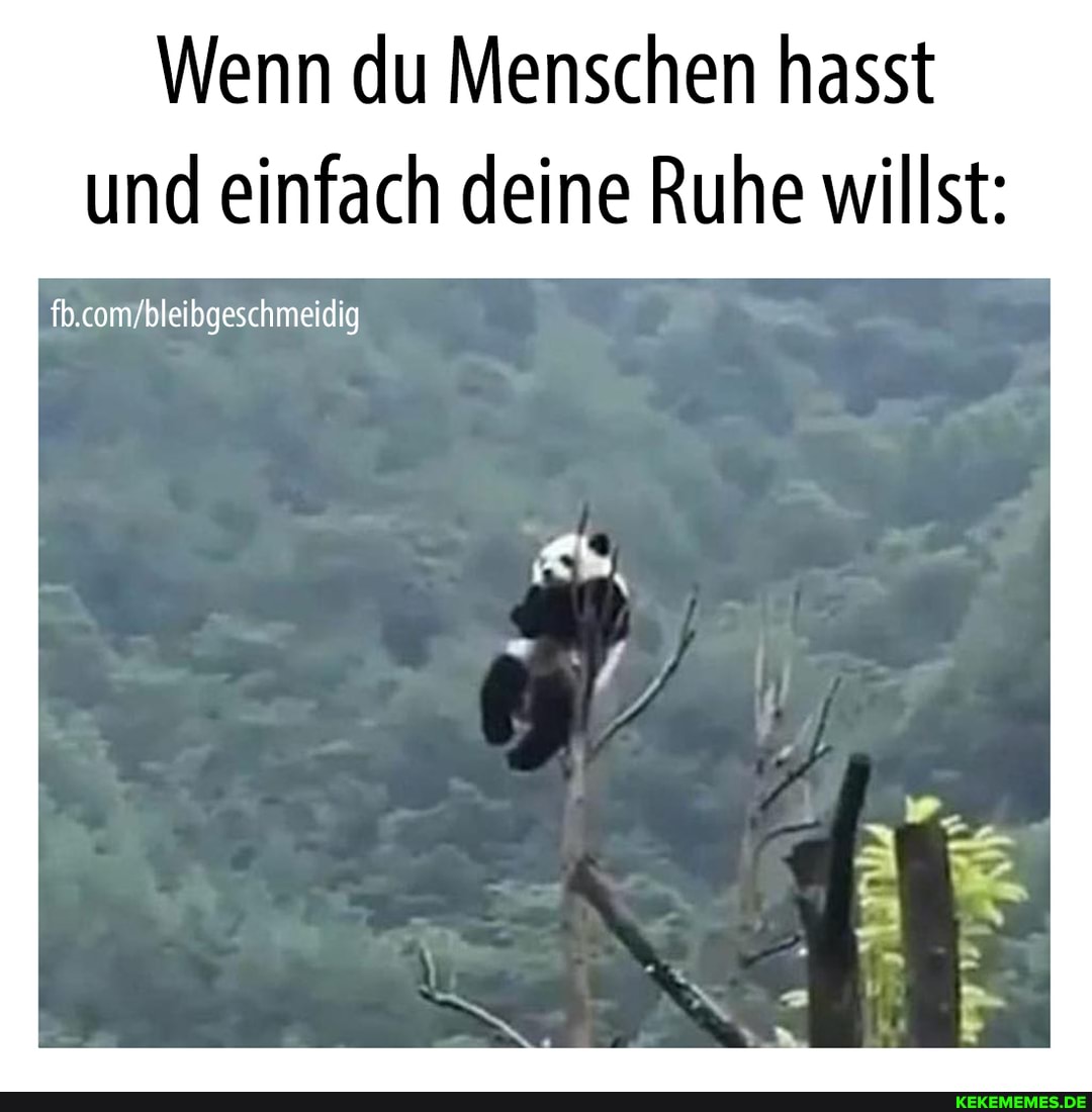 Wenn du Menschen hasst und einfach deine Ruhe willst: