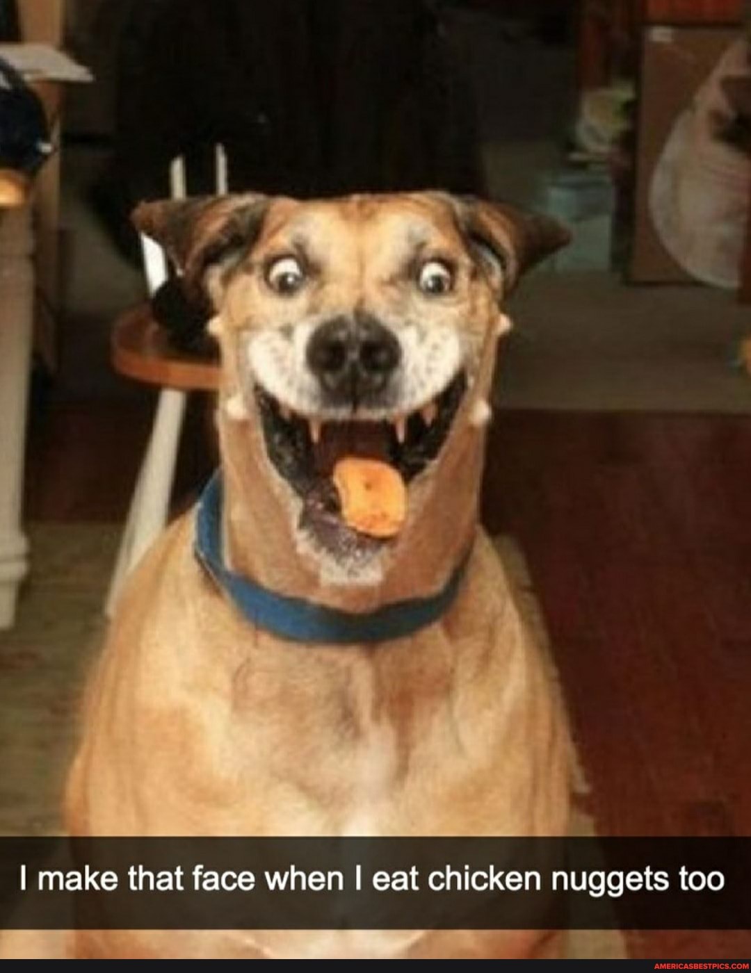 I make that face when eat chicken nuggets too
