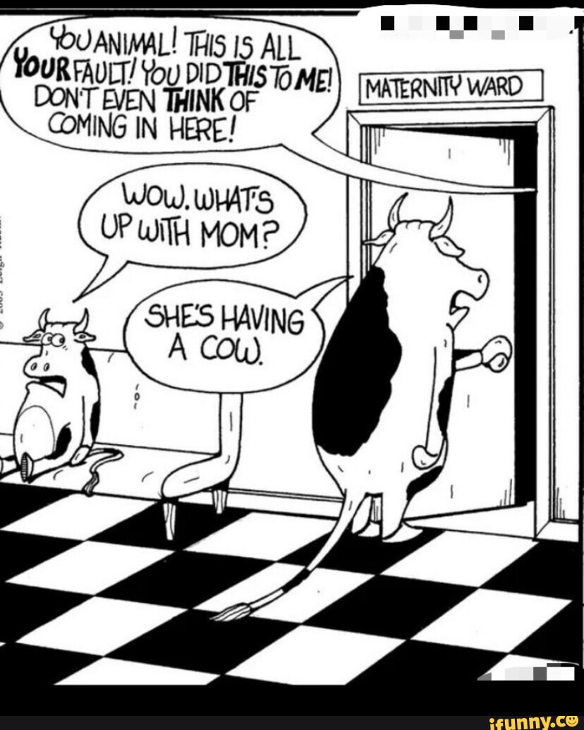 UR FAULT! You DID To NIT? WARD DONT EVEN THINK OF SOUANIMAL! ALL COMING IN HERE!