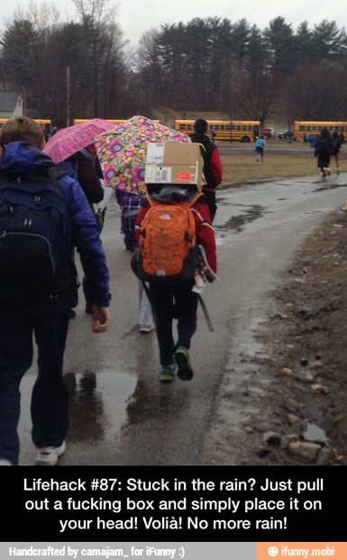 Lifehack #87: Stuck in the rain? Just pull
out a fucking box and simply place it on
your head! Voliá! No more rain! - Lifehack #87: Stuck in the rain? Just pull out a fucking box and simply place it on your head! Volià! No more rain!