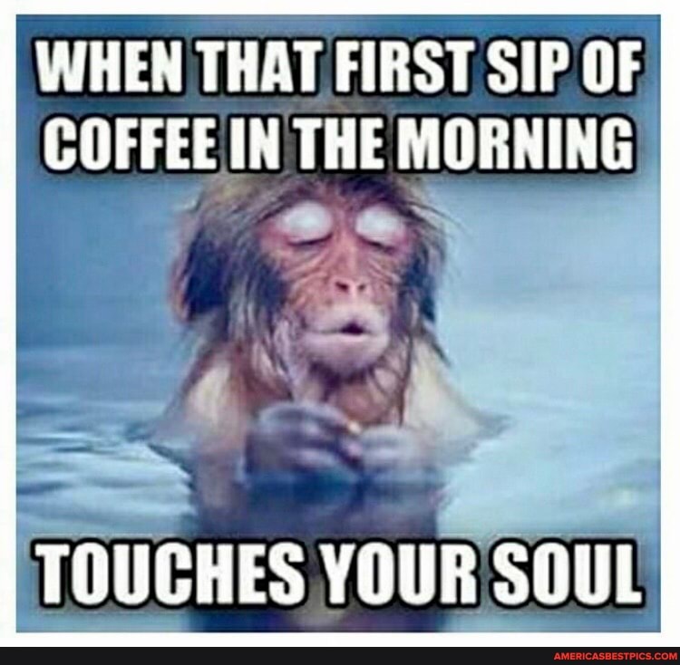 WHEN THAT FIRST SIP OF COFFEE IN THE MORNING
TOUCHES YOUR SOUL