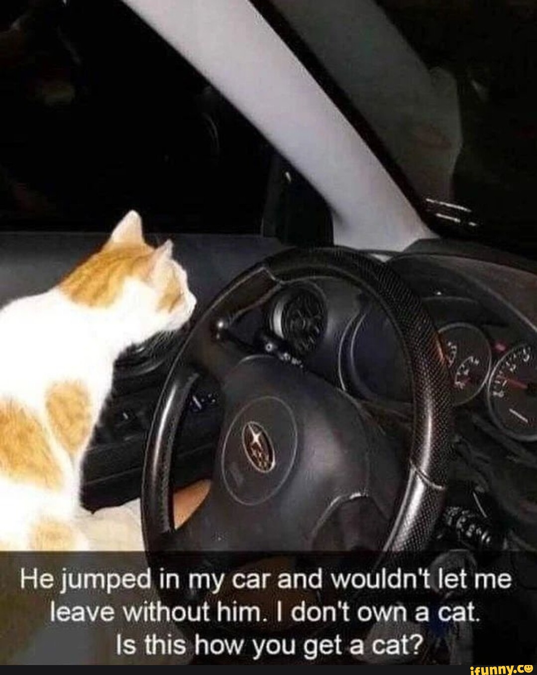 He jumped in my car and wouldn't let me leave without him. I don't own