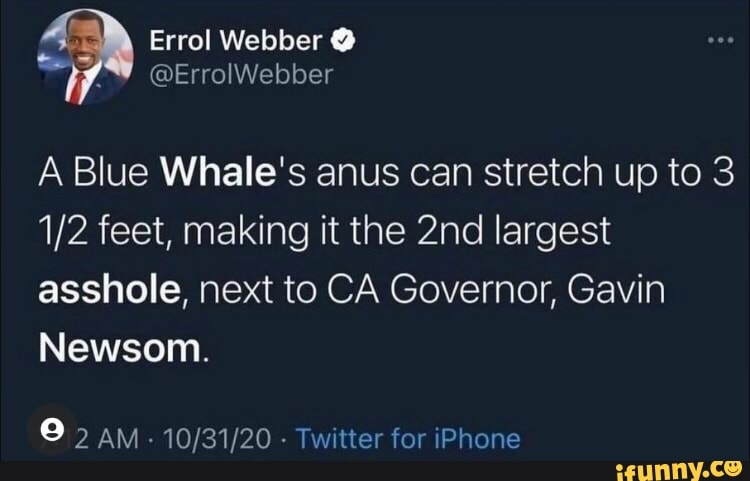 Errol Webber A Blue Whale's anus can stretch up to 3 feet, making it