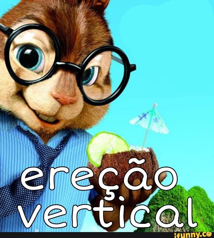 ereção vertical