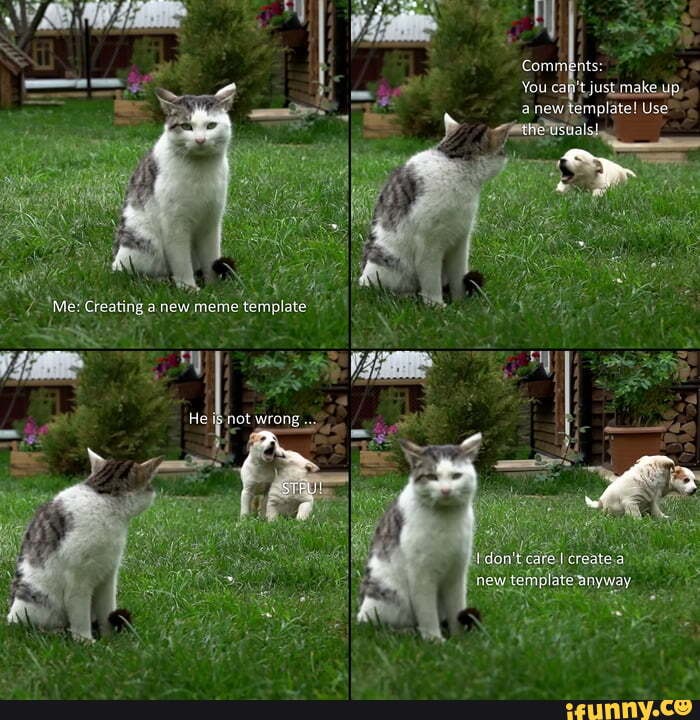 I_dont_care_cat memes. Best Collection of funny I_dont_care_cat