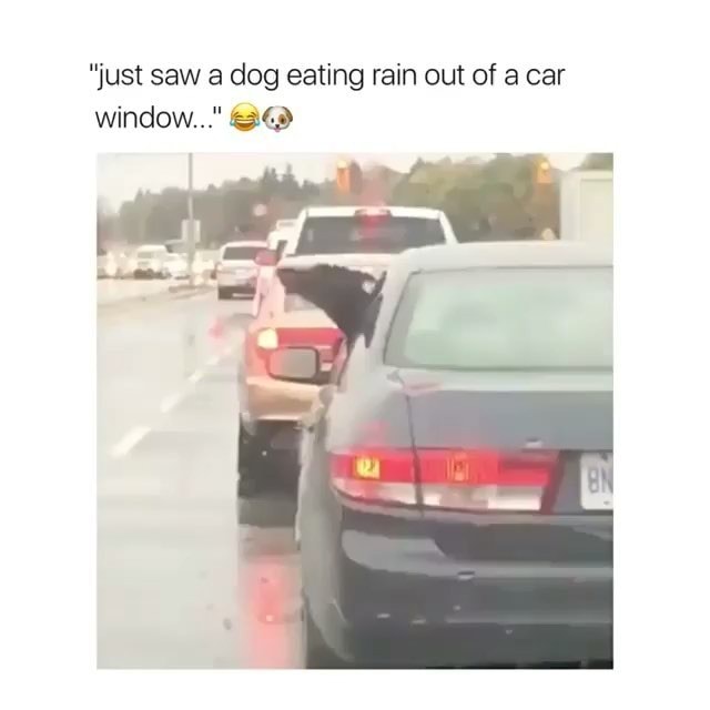 Eat and rain. Eat and rain