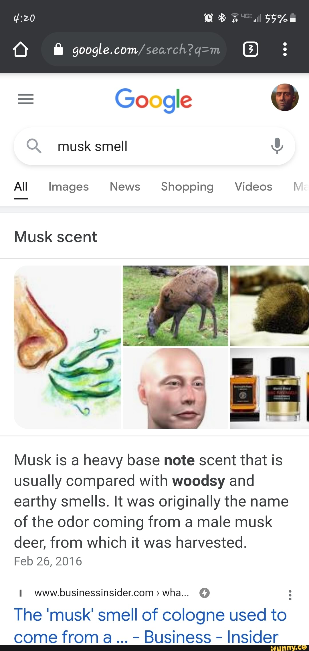 google.com/
= Google
Q musk smell
All Images News Shopping Videos
Musk scent
Musk is a heavy base note scent that is usually compared with woodsy and earthy smells. It was originally the name of the odor coming from a male musk deer, from which it was harvested.
Feb 26, 2016
www.businessinsider.com> wha...
The 'musk' smell of cologne used to come from a... - Business - Insider
