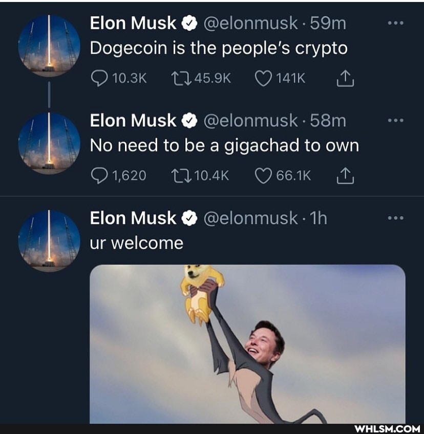 Elon Musk @
Dogecoin is the people's crypto
Elon Musk @
No need to be a gigachad to own
Elon Musk @ ur welcome