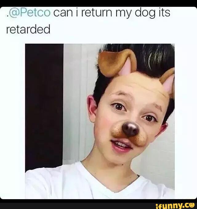 Retarded Dog Video