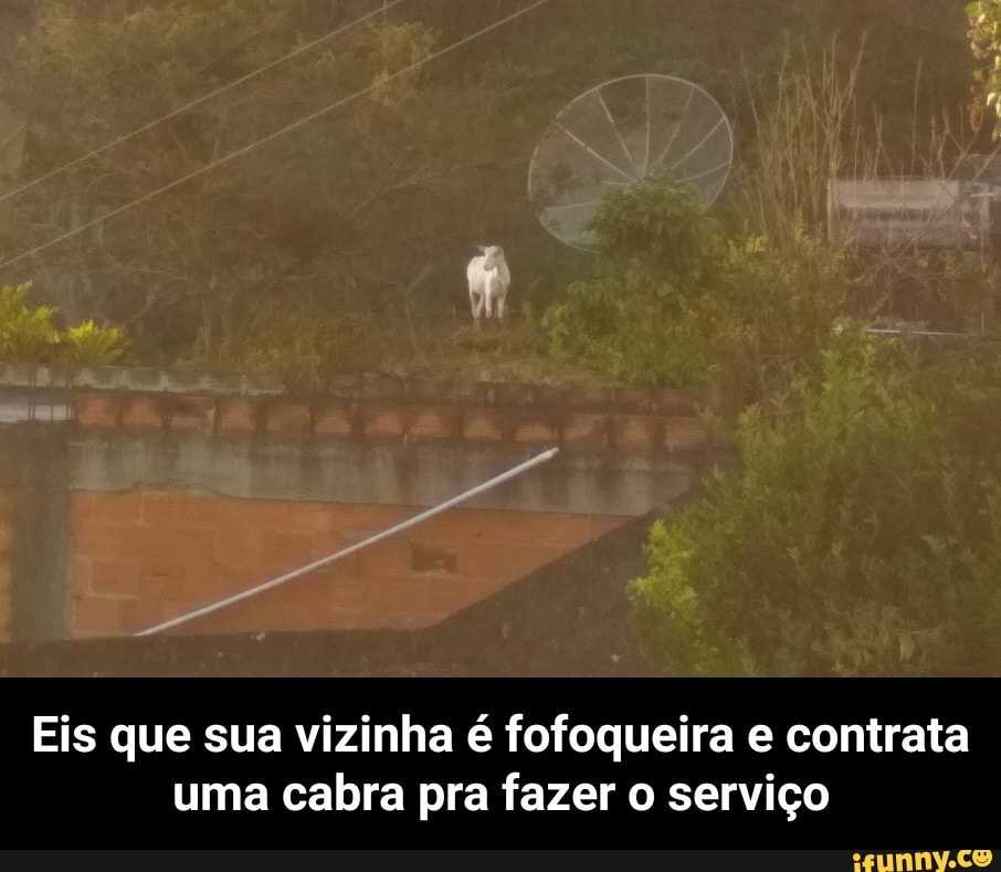 Eis que sua vizinha é fofoqueira e contrata
uma cabra pra fazer o serviço - Eis que sua vizinha é fofoqueira e contrata uma cabra pra fazer o serviço