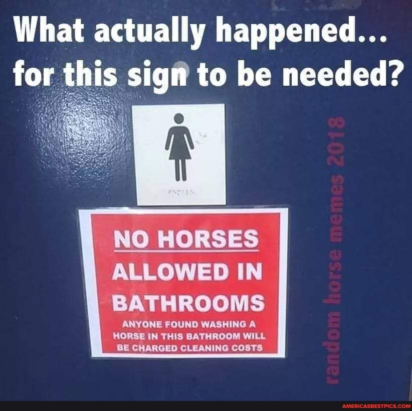 What actually happened... for this sign to be needed? NO HORSES ALLOWED