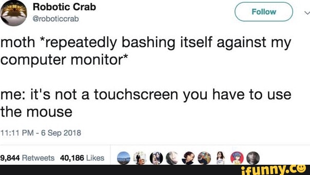 Robotic Crab moth *repeatedly bashing itself against my computer ...