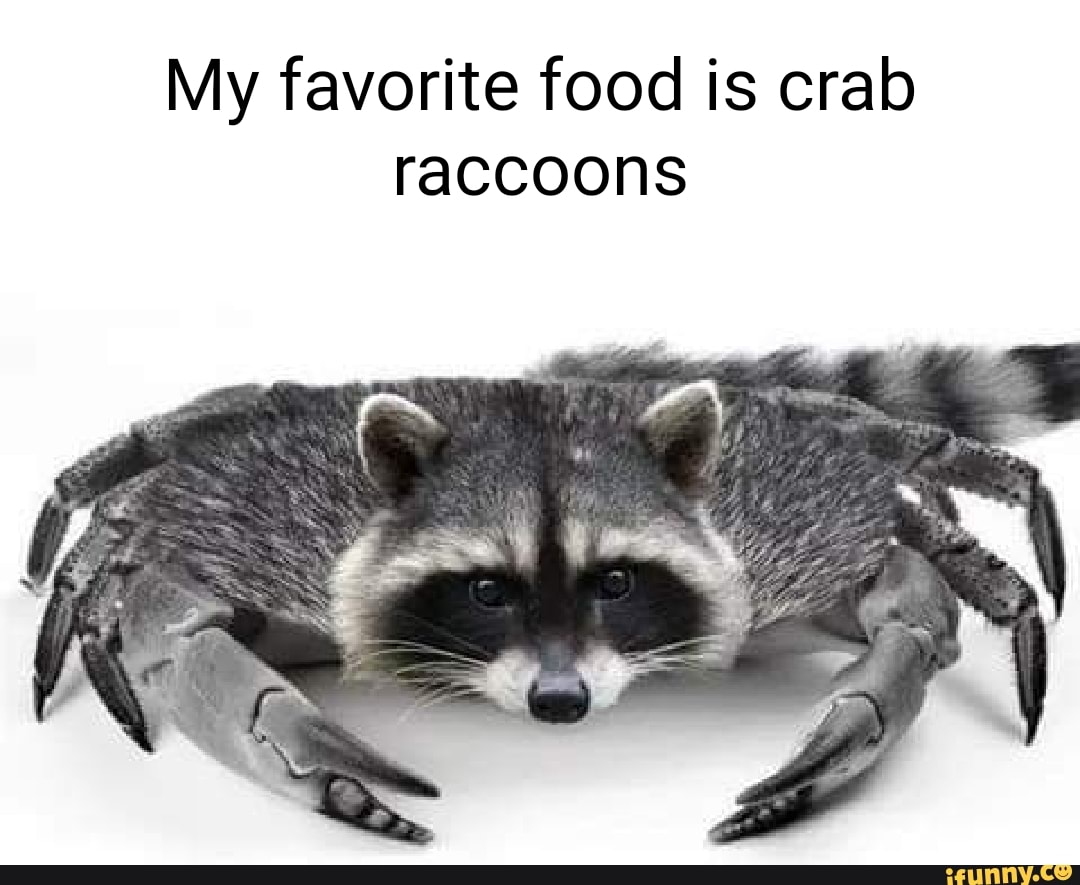 My favorite food is crab raccoons - iFunny