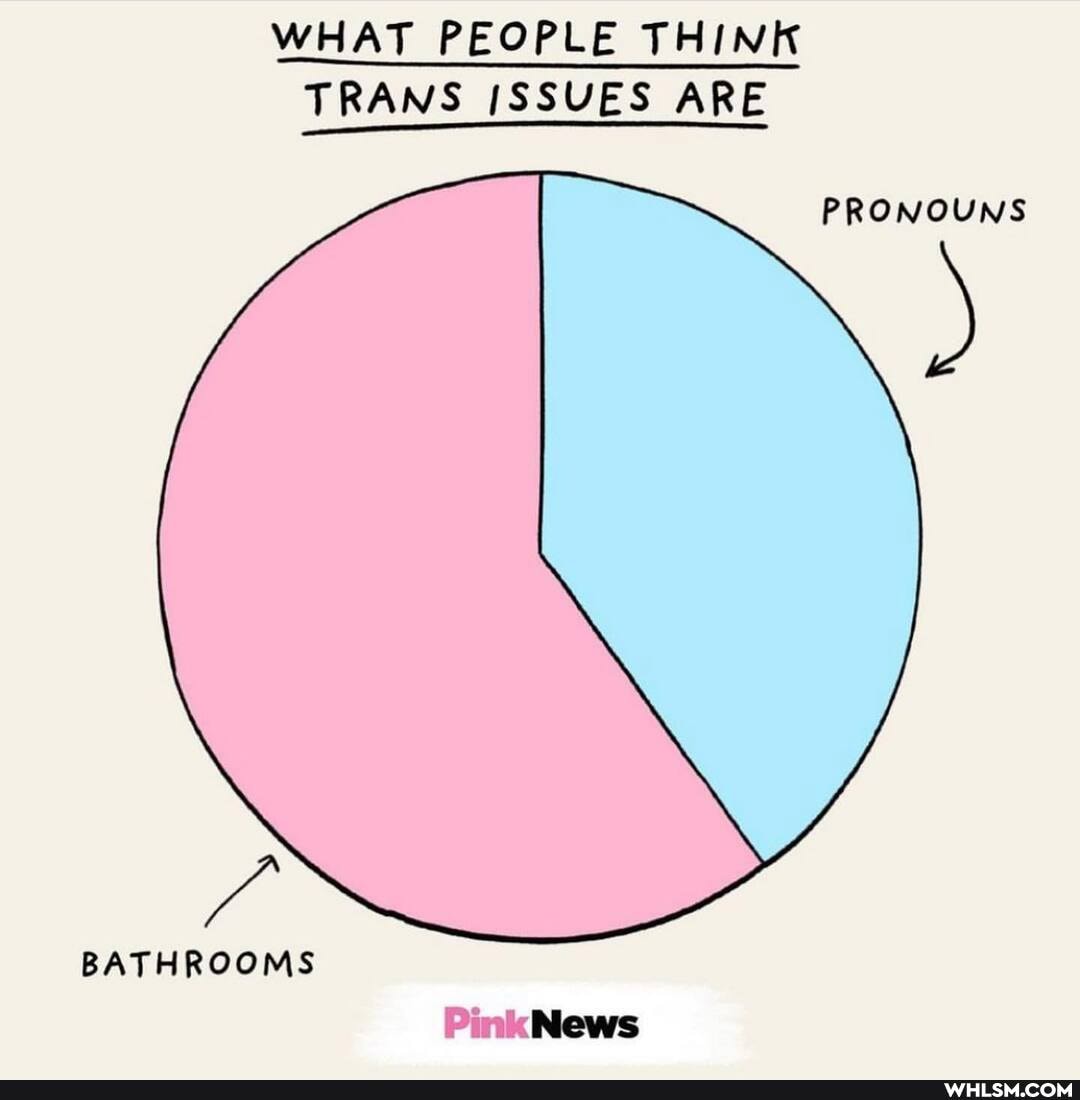 WHAT PEOPLE THINK TRANS ISSUES ARE
PRONOUNS
BATHROOMS