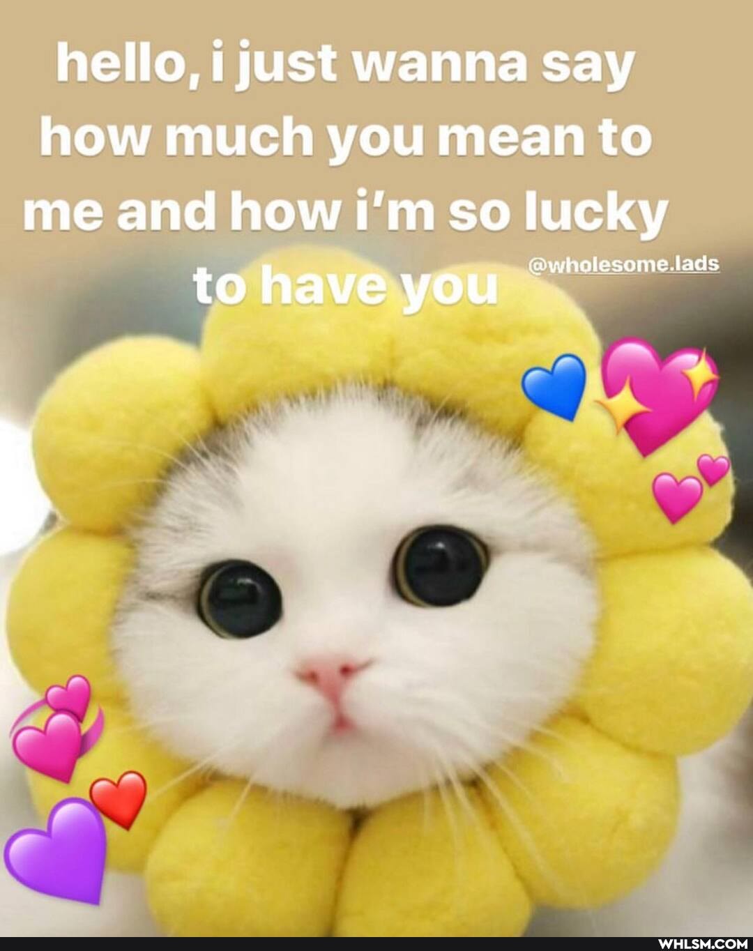 hello, i just wanna say how much you mean to me and how i'm so lucky
to have you
@wholesome.lads