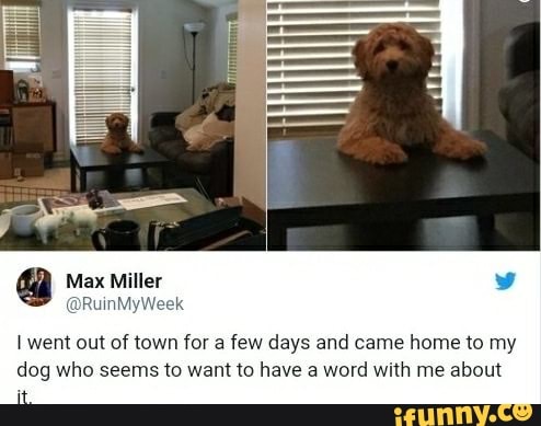 Max Miller
I went out of town for a few days and came home to my dog who seems to want to have a word with me about