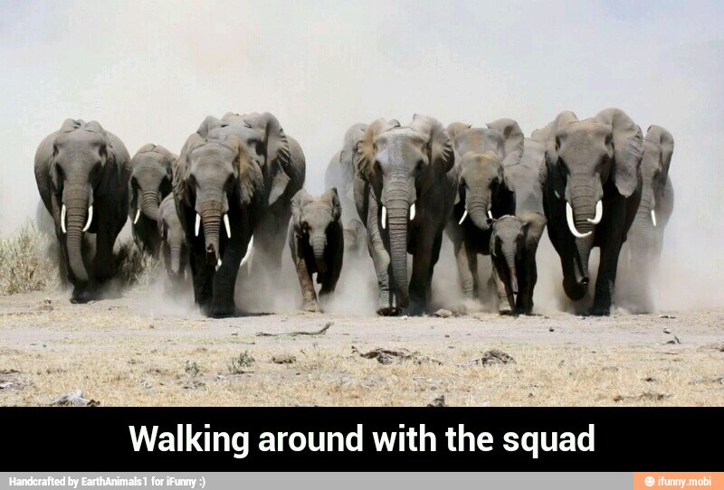 Walking around with the squad - Walking around with the squad