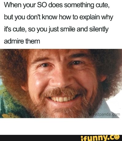 When your SO does something cute,
but you don't know how to explain why
its cute, so you just smile and silentiy
admire them