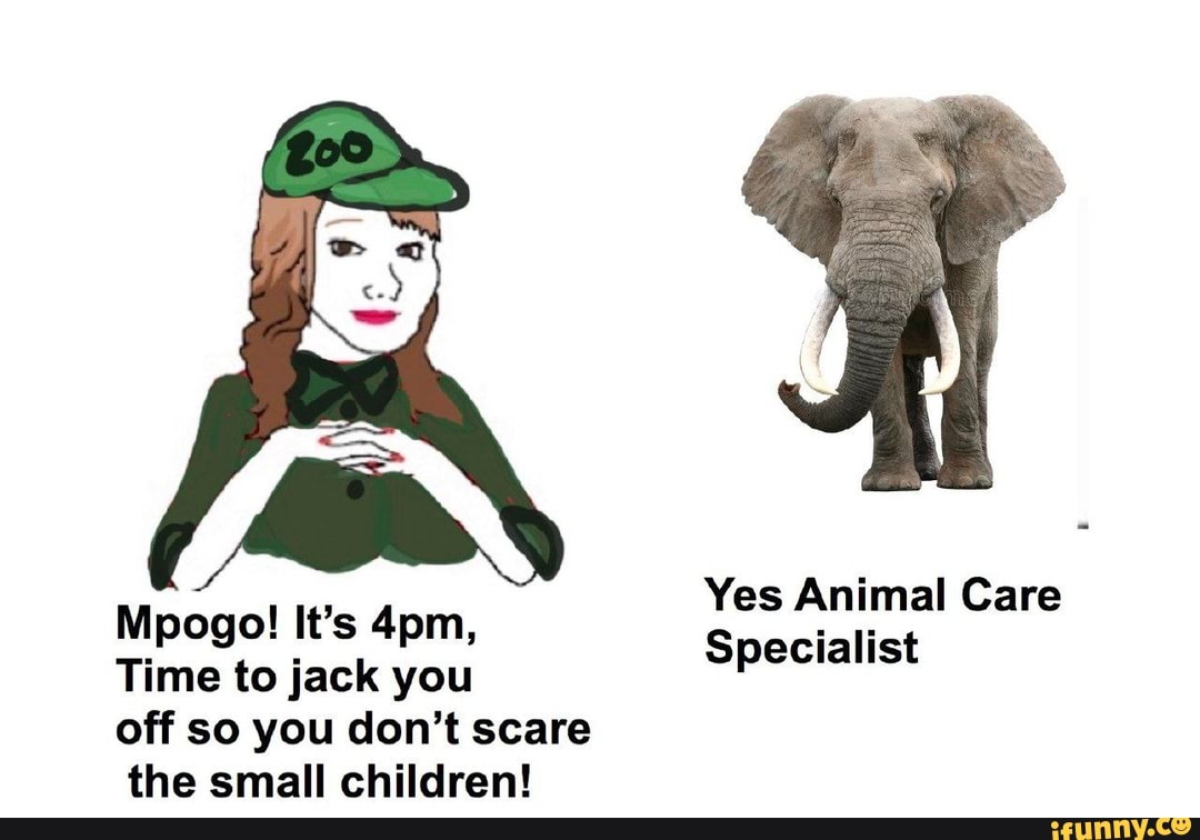 Yes Animal Care
Mpogo! Time to It's jack you Specialist
Time to jack you off so you don't scare the small children!