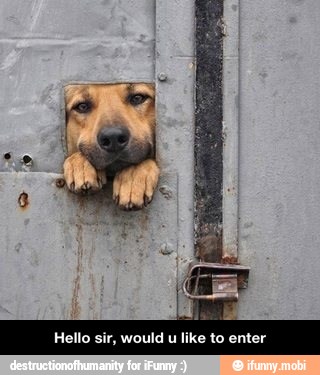 Hello sir, would u like to enter - Hello sir, would u like to enter