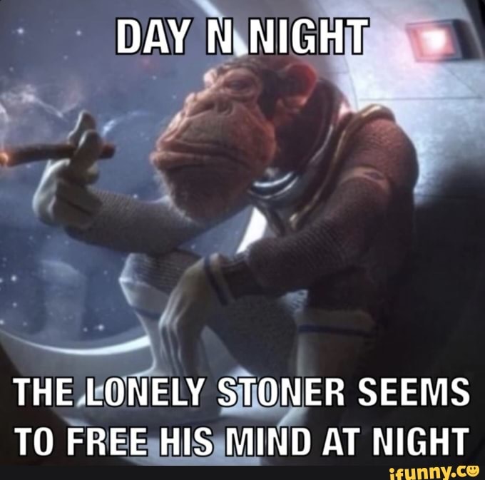 DAY N.NIGHT " THE LONELY STONER SEEMS TO FREE HIS MIND AT NIGHT - iFunny
