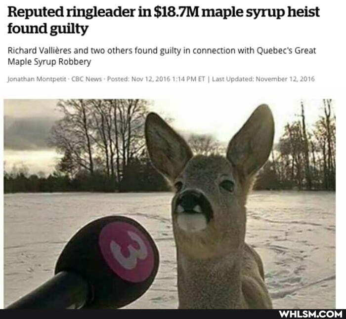 Reputed ringleader in $18.7M maple syrup heist found guilty
Richard Valligres and two others found guilty in connection with Quebec's Great
Maple Syrup Robbery