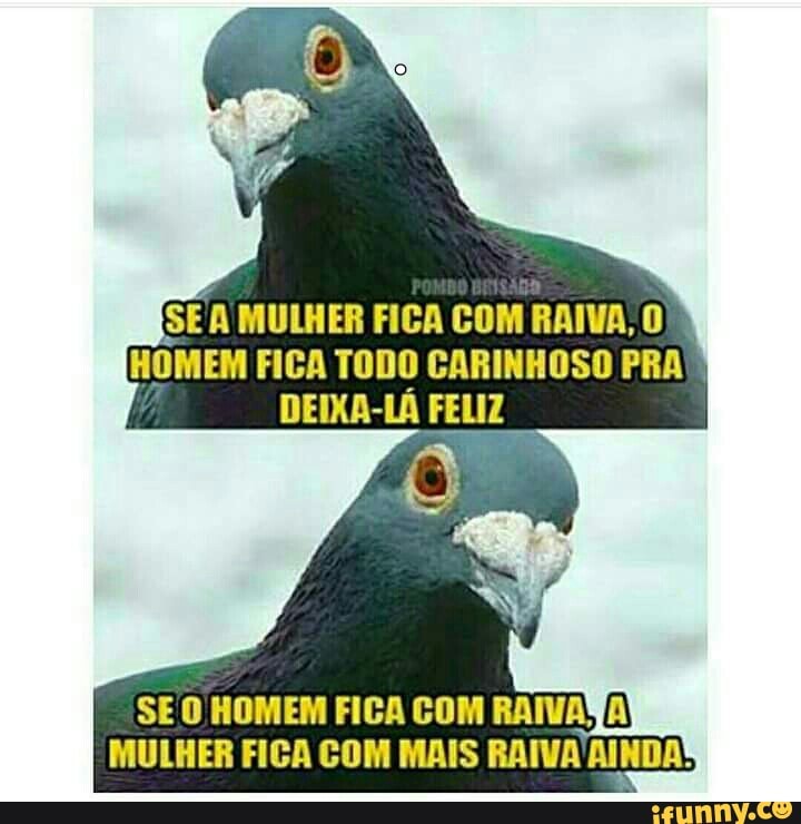 SE O HOMEM FICA COM RAIVAYA!
MULHER FICA COM MAIS RAIVA AINDA: