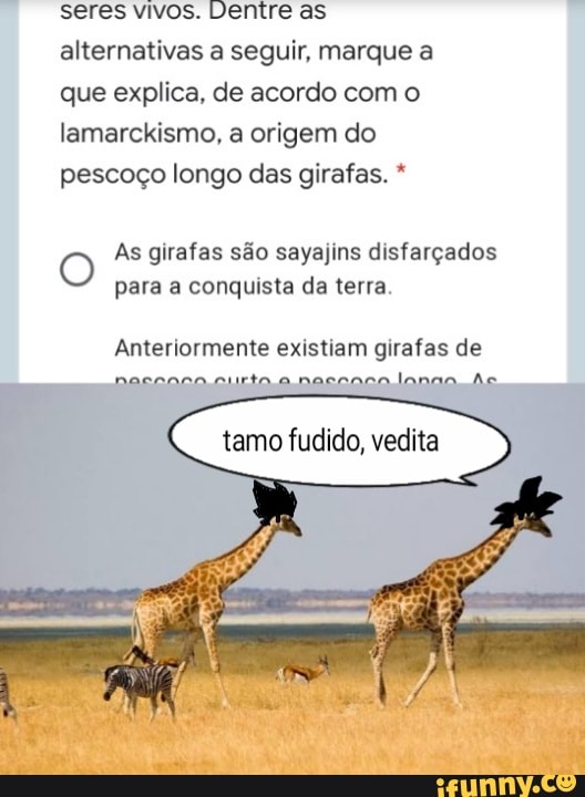 seres vivos. Dentre as alternativas a seguir, marque a que explica, de acordo com o lamarckismo, a origem do pescoço longo das girafas. *
O As girafas são sayajins disfarçados para a conquista da terra
Anteriormente existiam girafas de
naccaco curto a naconca lanao AR
tamo fudido, vedita