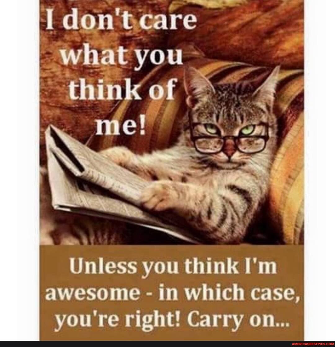 care
What you think of
me!
Unless you think I'm awesome - in which case, you're right! Carry on...