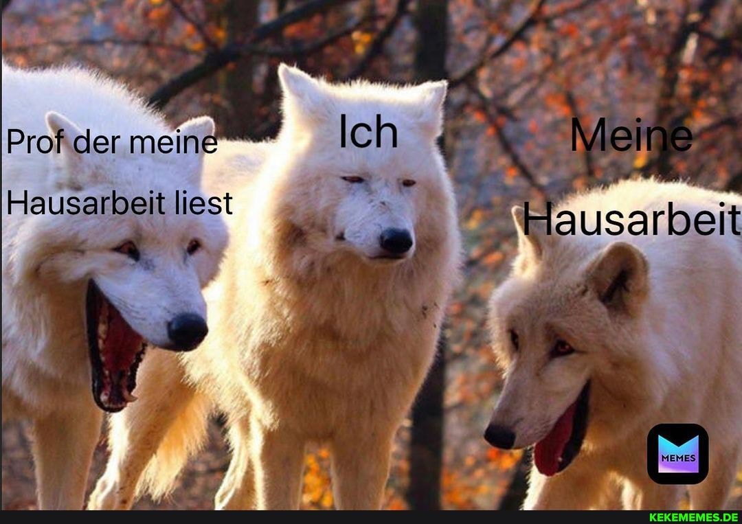 mein
Hausarbeit liest
Ich Meine
Hausarbeit