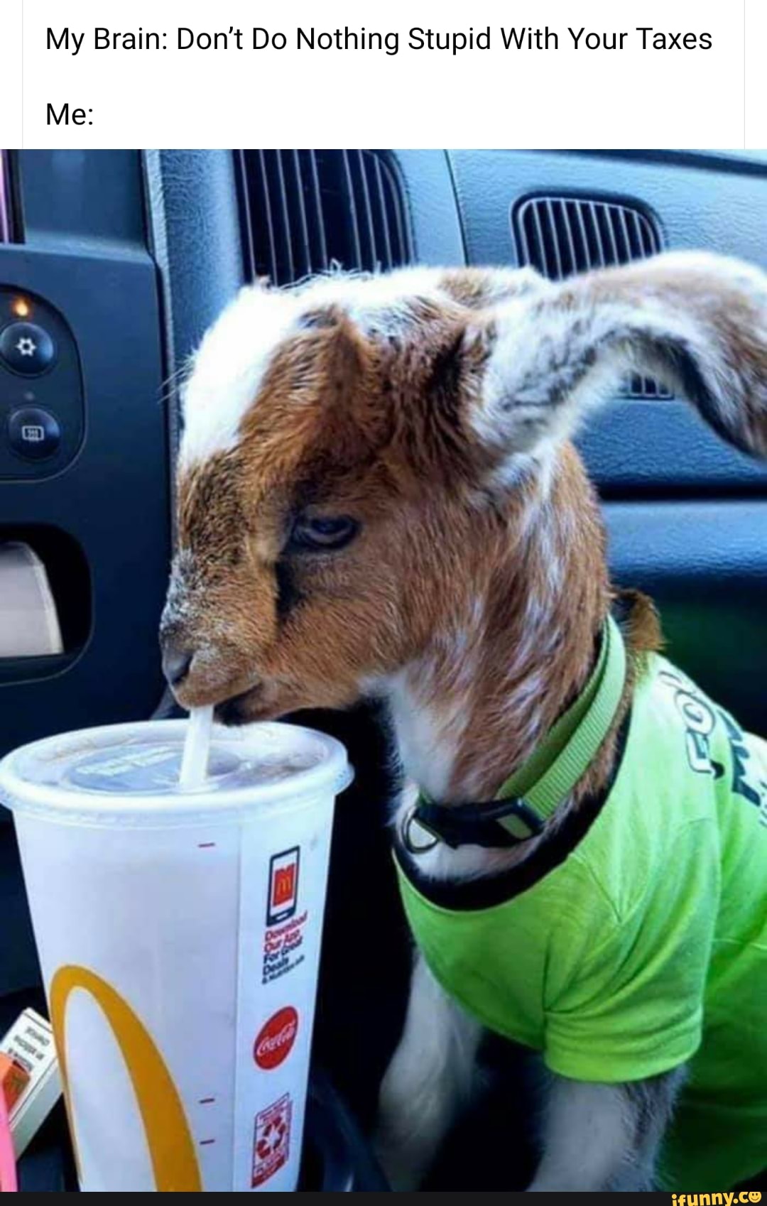 My Brain: Don't Do Nothing Stupid With Your Taxes
Me: