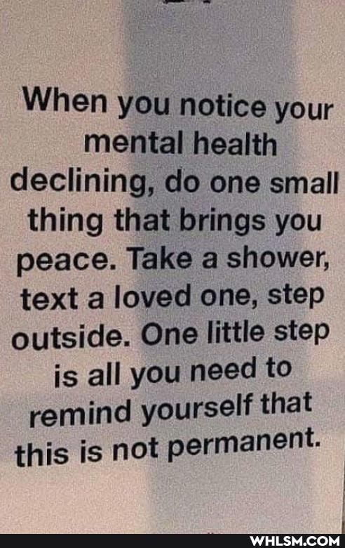 When you notice your mental health declining, do one small thing that brings you peace. Take a shower, text a loved one, step outside. One little step is all you need to remind yourself that this is not permanent.