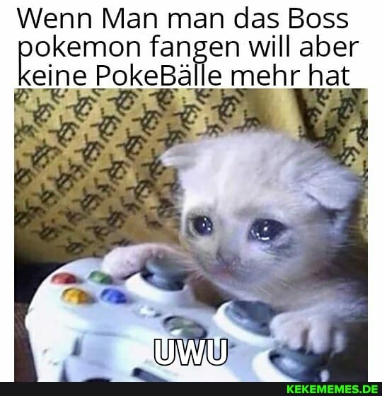 Wenn Man man das Boss okemon fangen will aber eine PokeBälle mehr hat
