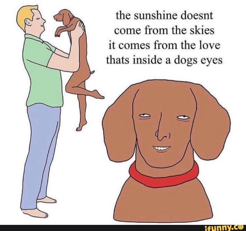 The sunshine doesnt come from the skies it comes from the love thats