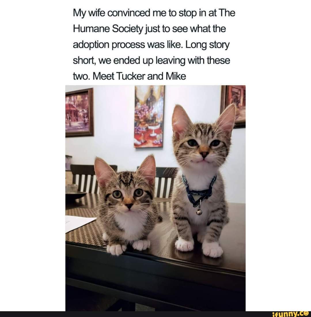 Protip Add large googly eyes to your ghillie suit for added