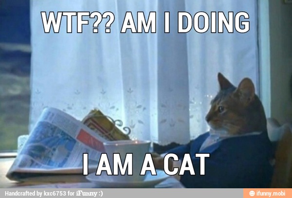 y
I
LAM AL CAT